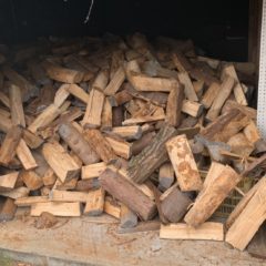 薪活　杉の薪を購入